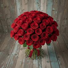 Букет 55 Красных роз Фридом #REPLACE_PRED# Когалыме